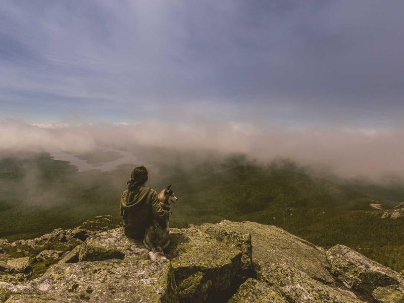 kiếm tiền từ sản phẩm số cho người mới